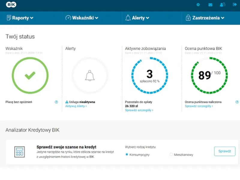 Jak wygląda raport BIK